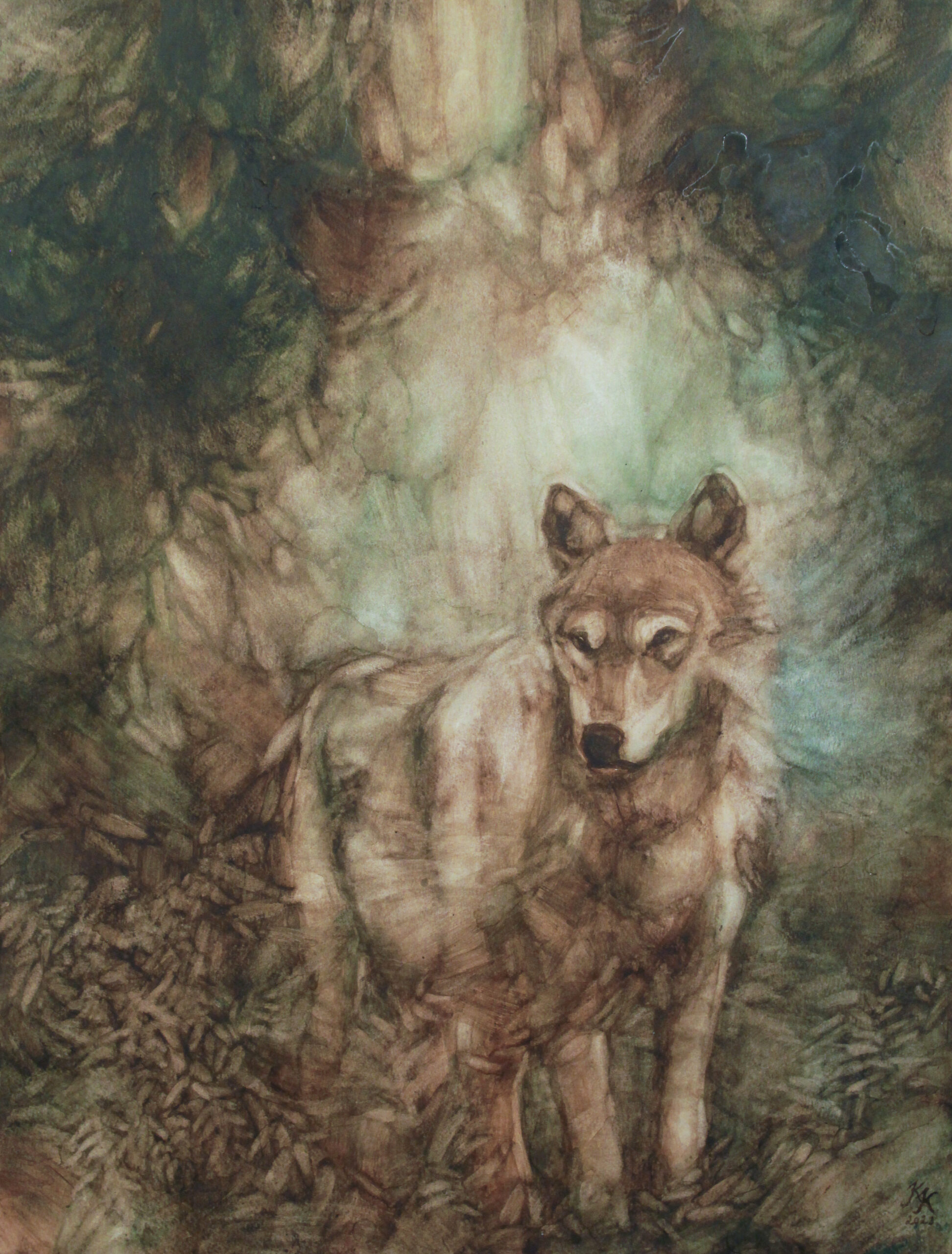 Maija oli erämaasusi 2023 62 x 47,5 cm Akvarelli paperille