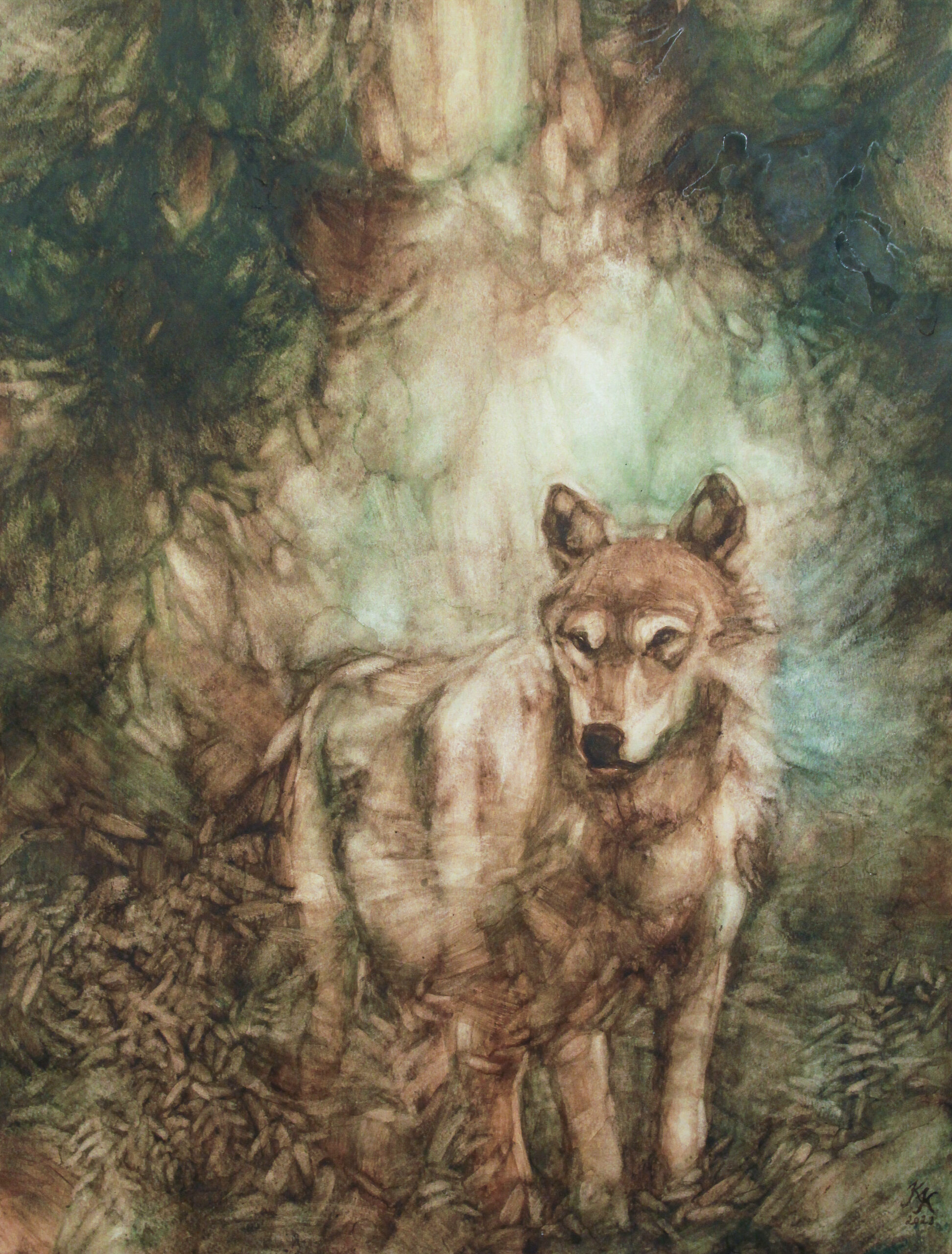 Maija oli erämaasusi